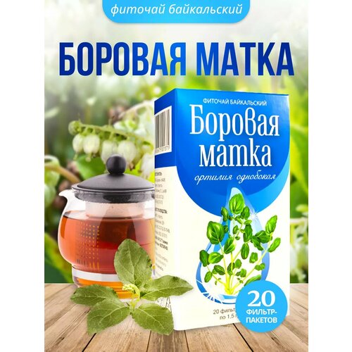 ���� ������� ����� ����� ��� ������� ����� ������ 20 �/�, ������ �� 318 ���