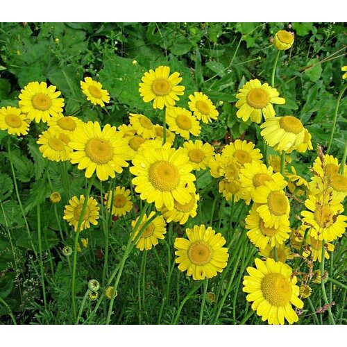     (),          ,   , 180  ,   237 