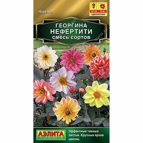 ���� ������ �������� ���������, ����� ������, ����������, (������) 0,3� ������� �����, ������ �� 52 ���