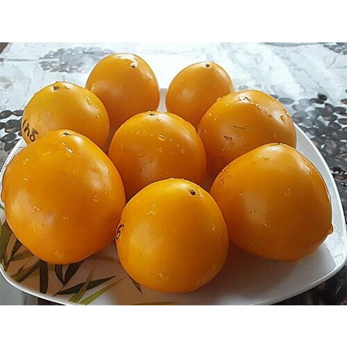 ���� ������������� ������ ������ ���� ������� ������, ������ �� 102 ���