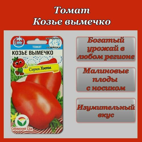 ���� ����� ����� ������� (1 ��������-20�� �����), ������ �� 62 ���