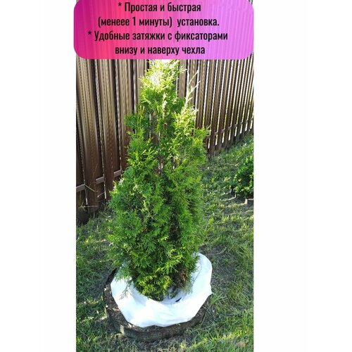 ���� ������ ����� ��� ��� � ��������������, ��� ��� � ������ (100*80, 120*80, 160*80 ��), 3 �� � ���������, ������ �� 890 ���