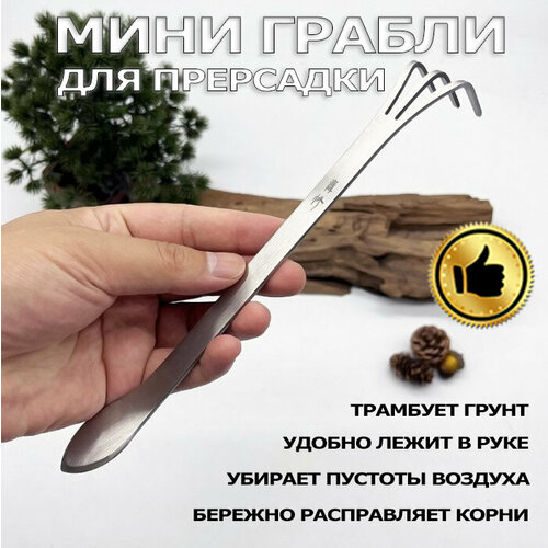 ���� ����-������ �� ����������� �����, ����� ����������, ������ �� 511 ���