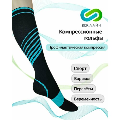 ���� ������ �������������� ����������������, 1 ������, �����-�������, ������ �� 490 ���