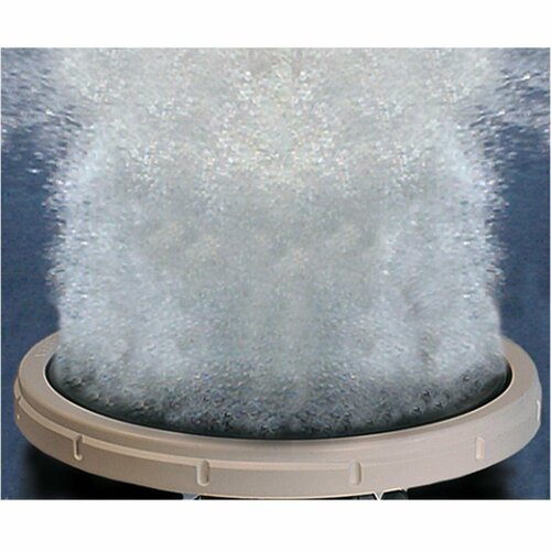 ���� ������� ����������� �������� �� �������� ��� �����, ��������� � �������, 21 ��, ������ �� 1390 ���