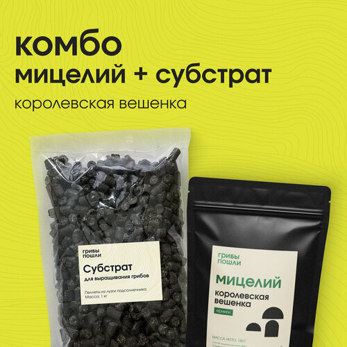 ���� �����-����� ��� ����������� ������. ����������� �������, ������ �� 499 ���