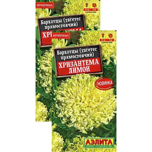 ���� �������� ���������� ����� ������������ (0,1 �), 2 ������, ������ �� 249 ���