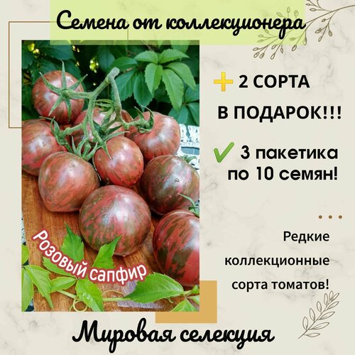 ���� ����� ������� ������, �������� ���� ��������, ���, ������������� ����, ������ �� 283 ���