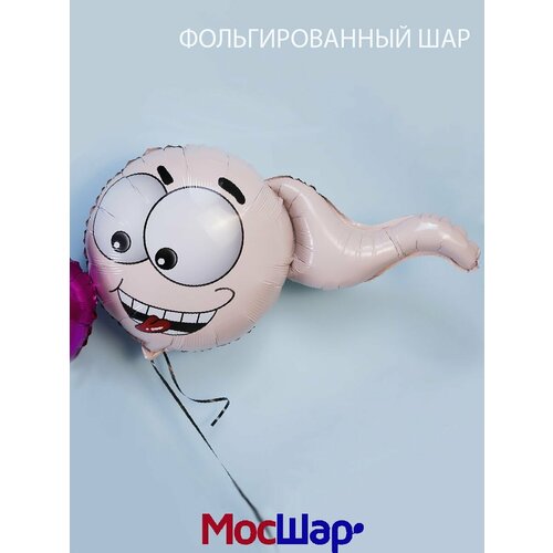 ���� ��������� ���� �� ��������, �������������� 80 �� ������, ������ �� 274 ���