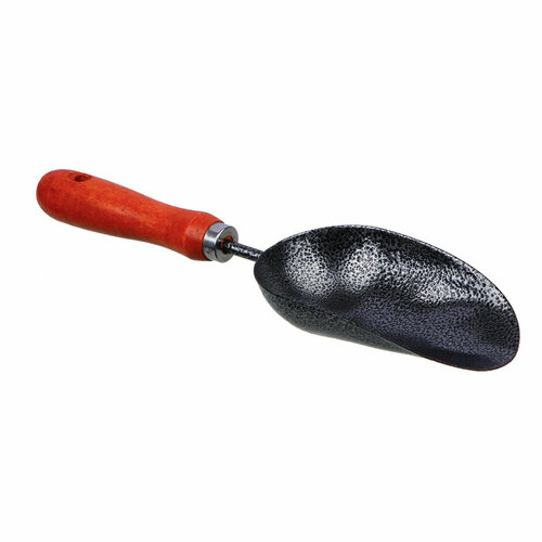 ���� ����� �������, ������ �� 351 ���