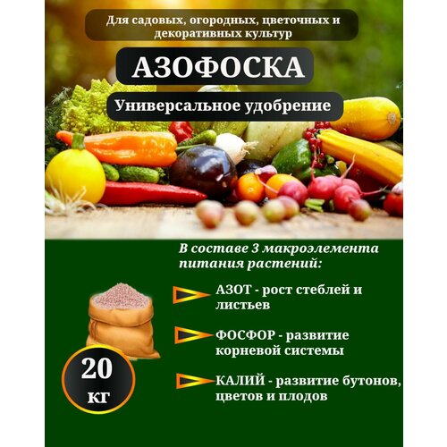 ���� ����������� ����������� ��������� 