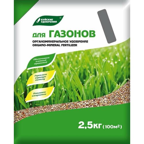 ���� ��� 