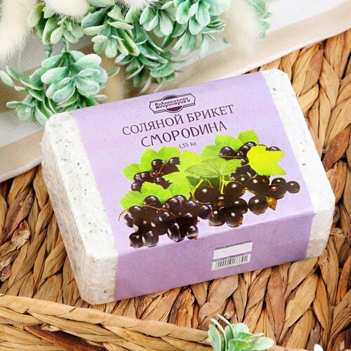 ���� ������� ������ 