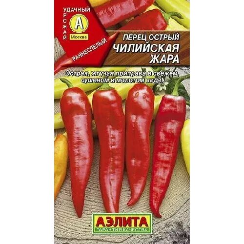 ���� ����� ������ ��������� ����, ������ ������ 20��, ������ �� 42 ���