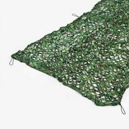 ���� ������������� ���� 2�3�, ������ �� 1195 ���