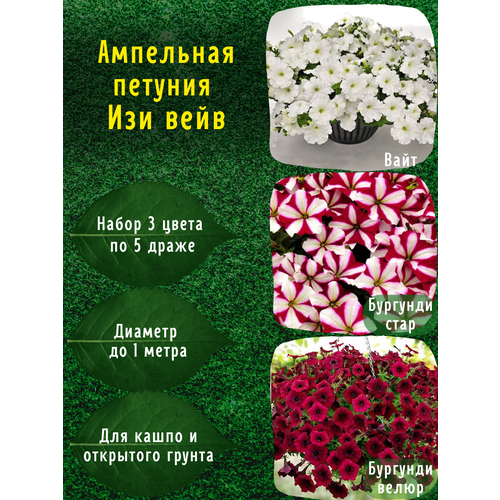 ���� ��������� ������� ���������������� ������ ��� ���� ����, ��������, �������� ���� �� 5 �����, ������ �� 950 ���