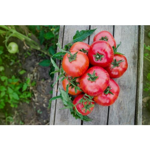 ���� ������������� ������ ������ ���� ���, ������ �� 104 ���