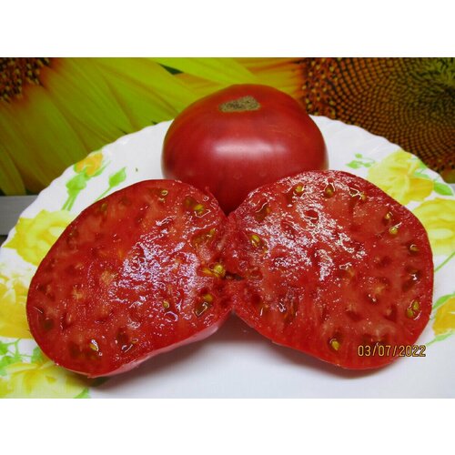 ���� ������������� ������ ������ ������� �� ��������, ������ �� 104 ���