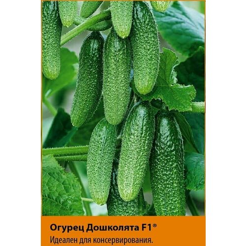 ���� ������������� ������ ������ ��������� F1, ������ �� 102 ���