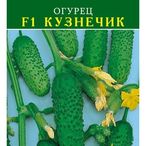 ���� ������������� ������ ������ F1 ��������, ������ �� 102 ���