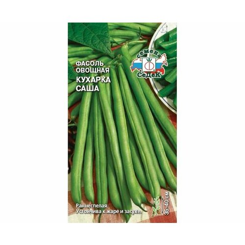 ���� ������ ������ ������� ���� ������� �������� ��������� 5� ������ (�����), ������ �� 54 ���