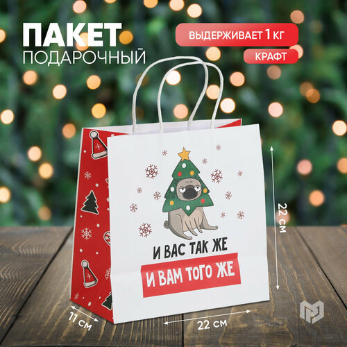 ���� ����� ���������� �� ��� �����, 22 � 22 � 11 ��, ����� ���, ������ �� 177 ���