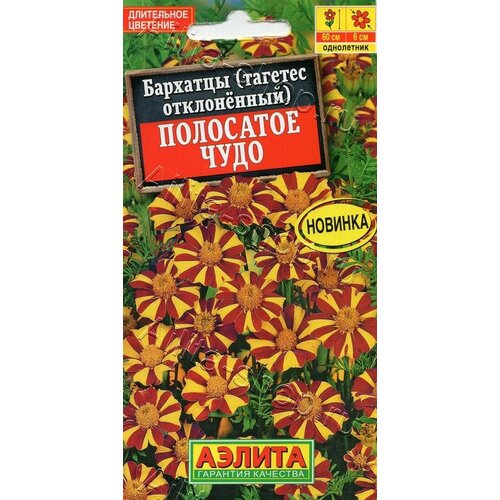 ���� ������ ��������� ������ 