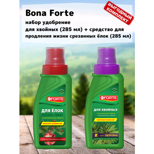      (285 ) +       (285 ) Bona Forte,   550 