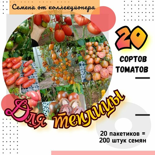 ���� ������ �������, ����� 20 ������ ��� �������, 200 �����, ������ �� 1435 ���