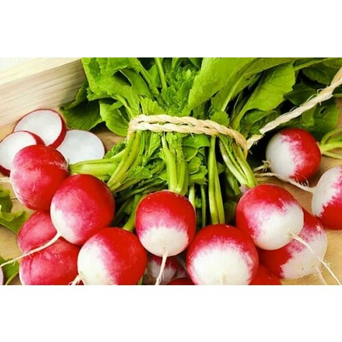 ���� ������������� ������ ������ �������, ������ �� 127 ���