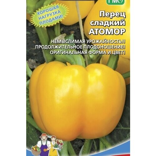 ���� ������ ����� ������� ������ 20�� (��) �/�, ������ �� 64 ���