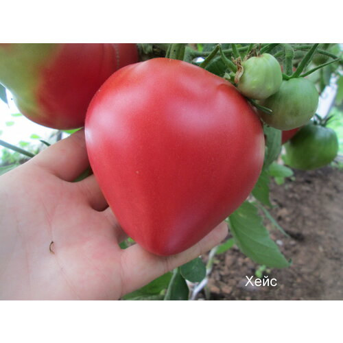 ���� ������������� ������ ������ ������� �� �����, ������ �� 127 ���