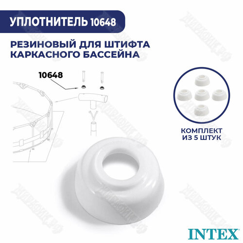     Intex 10648 (- 5 )   -     , -, 