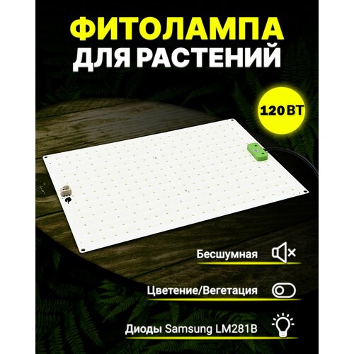 ���� ���������� ��� �������� � ������� Samsung LM281b+, ��������� 120 ����, quantum board,, ������ �� 7375 ���