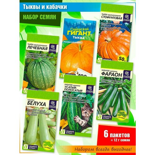 ���� ����� ����� ����: ��������, ��������� ������, ����������� � ����� ��������: ������, ������-���������, ������ �� ������ ����� (6 �����), ������ �� 385 ���