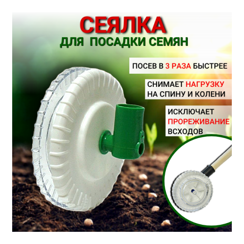 ���� ������ ������ 