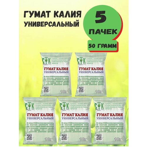 ���� ����� ����� ������������� 10�, ��� - 5 �����, ������ �� 271 ���