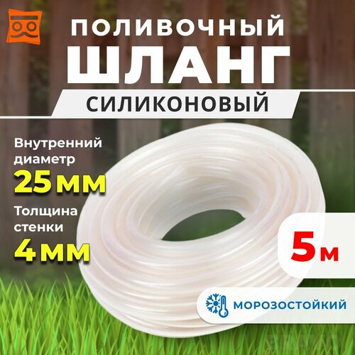 ���� ����� ��� ������ ���������� ����������� 5 ������, ������� 1