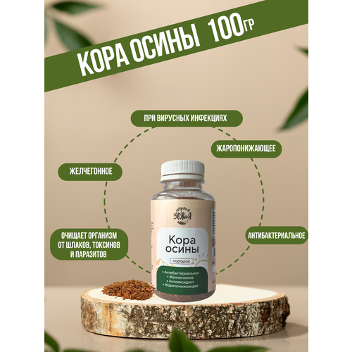 ���� ���� �����, ������� ������� ������, 