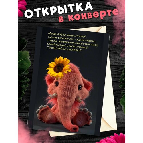 ���� �������� �6 � �������� � ���� ��������, ����!, ������ �� 250 ���