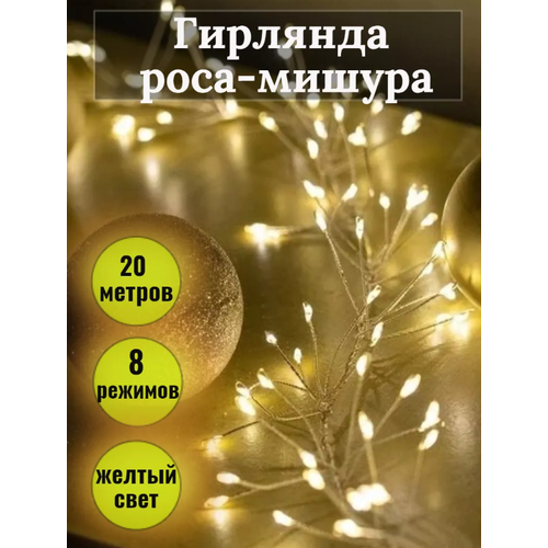 ���� �������� ���� ������ 20 ������\ ��������������� ����� ���� ������\ ������ �����, ������ �� 1699 ���