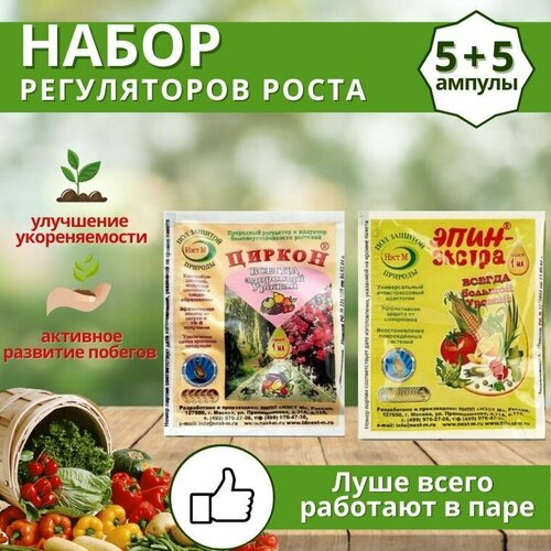 ���� ����� ����������� ����� ������ + ����-������, �������� 10 �� �� 1 ��, ������ �� 595 ���