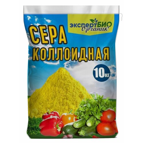 ���� ���� ���������� ��� �������� �� ���������� ��������� ��� �������� ������� � ����, ������ �� 1600 ���