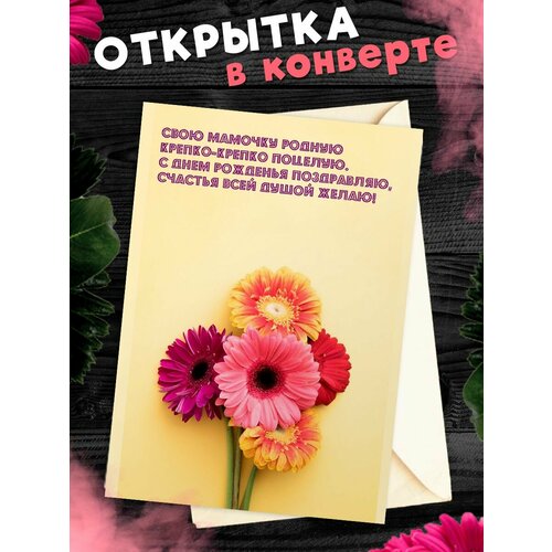 ���� �������� �6 � �������� � ���� ��������, ����!, ������ �� 268 ���