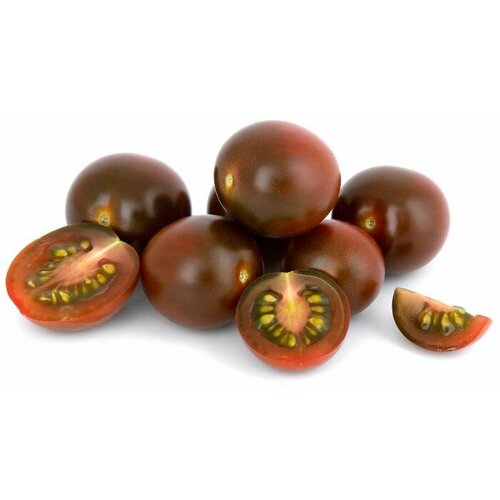 ���� ������������� ������ ������ ������ �����, ������ �� 125 ���