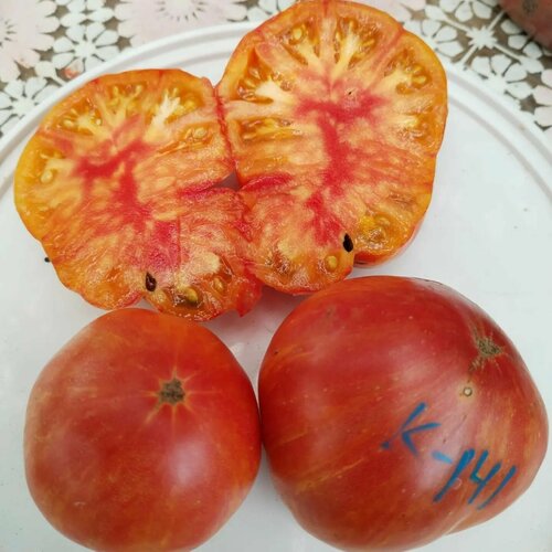 ���� ������������� ������ ������ ������ 174/ 1, ������ �� 101 ���