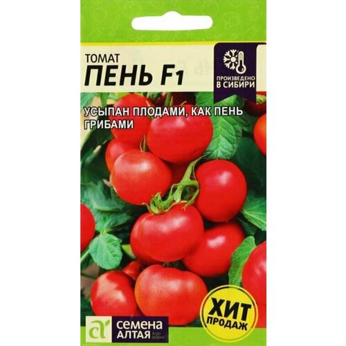 ���� ����� �������������� ���� F1 ������ ����� (1 ��������-5 �� �����), ������ �� 456 ���