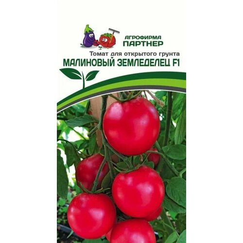 ���� ����� ����� ��������� ���������� F1 ������ ������� (1 ��������-0,05 � �����), ������ �� 325 ���