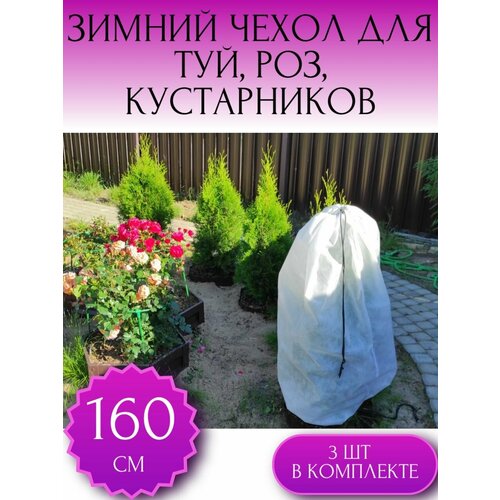 ���� ������ ����� �� �������� ��� ��� � �������������, ��� ���, ��� ������ � �������� ������ 160*80 ��, 3 �� � ���������, ������ �� 890 ���