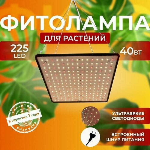 ���� ��������� ��� ����������� �������� ������� ������ ������ �������������� ������������ Quantum board ����� ��������� ��� ������ 225 LED, ������ �� 2910 ���